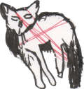 katze