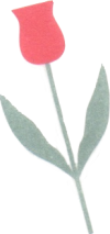 tulpe-frei