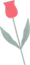 tulpe-frei